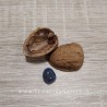 Noce degli gnomi - con minerale all'interno