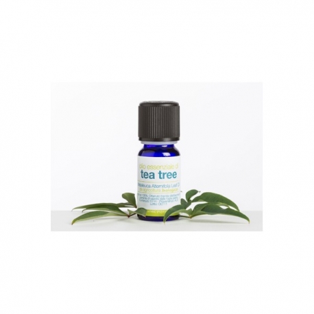 Olio essenziale di tea tree biologico