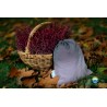 Zainetto con coulisse Little Frog - Howlite